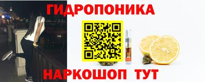 apvp Краснознаменск