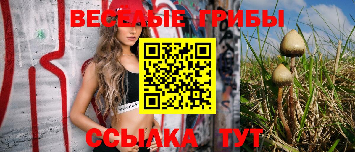 Псилоцибиновые грибы прущие грибы Конаково