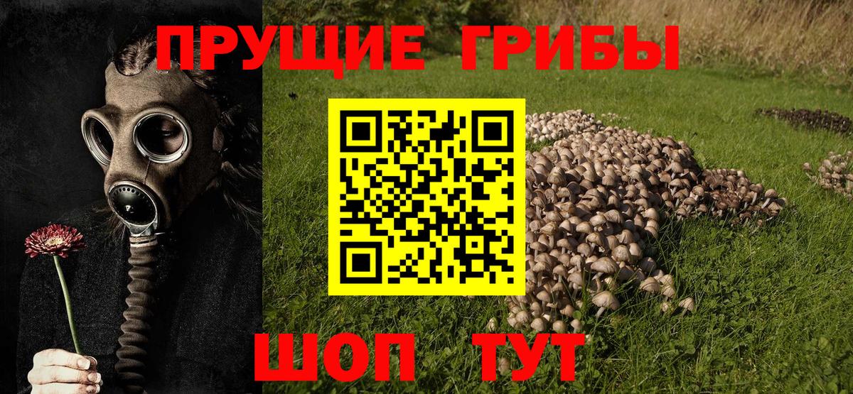 Конаково  где продают наркотики  Вход с VPN  Галлюциногенные грибы прущие грибы 
